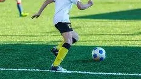 【银发智慧揭秘】2026年大乐透010期独家分析：前区五胆必中秘籍，心水号码一网打尽！