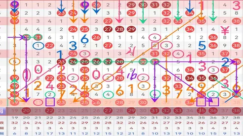【独家揭秘】第034期3D必中秘籍：揭秘016号定胆黄金投注策略！