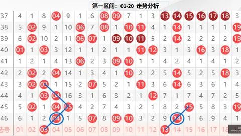 2026版唐歌排列526145期跨度深度解析